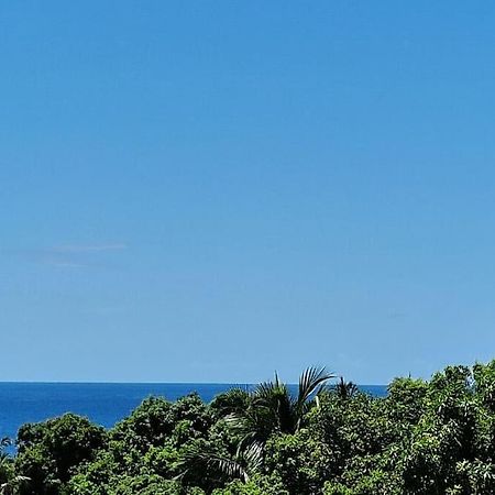 Joli T2 En Bas De Villa Vue Jardin Et Mer Vieux Habitants Bagian luar foto